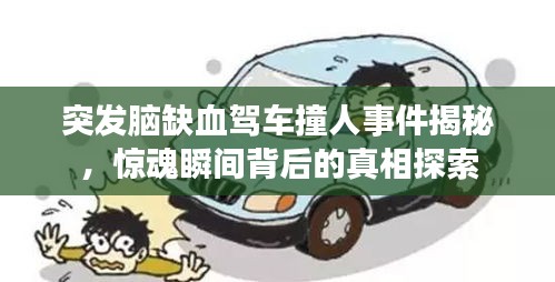 突发脑缺血驾车撞人事件揭秘，惊魂瞬间背后的真相探索