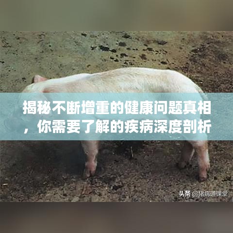 揭秘不断增重的健康问题真相，你需要了解的疾病深度剖析