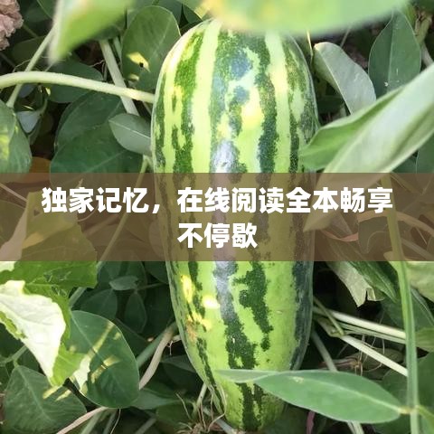 独家记忆，在线阅读全本畅享不停歇