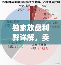 独家放盘利弊详解，卖楼时是否选择独家放盘？决策者的全面考量指南