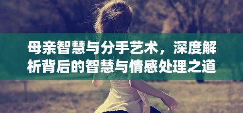 母亲智慧与分手艺术，深度解析背后的智慧与情感处理之道