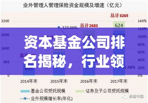 资本基金公司排名揭秘，行业领袖展现力量与智慧之巅