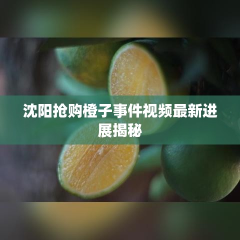 沈阳抢购橙子事件视频最新进展揭秘