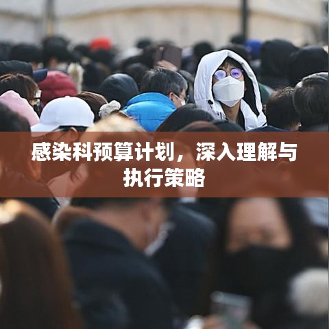 感染科预算计划，深入理解与执行策略