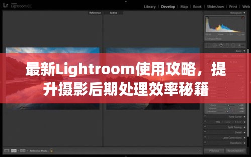 最新Lightroom使用攻略，提升摄影后期处理效率秘籍