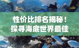 性价比排名揭秘！探寻海底世界最佳潜水体验之旅