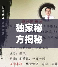 独家秘方揭秘，传统医学中的奥秘与深蕴