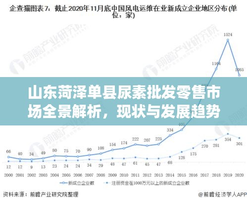 山东菏泽单县尿素批发零售市场全景解析，现状与发展趋势