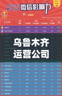 乌鲁木齐运营公司权威排行榜揭晓！