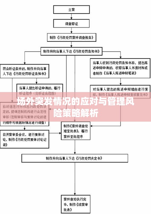 场外突发情况的应对与管理风险策略解析