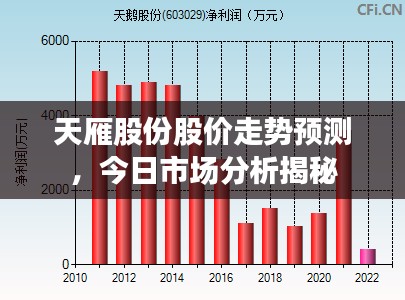 天雁股份股价走势预测，今日市场分析揭秘