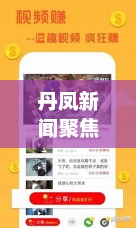 丹凤新闻聚焦时事热点，传递最新资讯头条