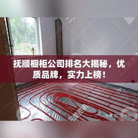 抚顺橱柜公司排名大揭秘，优质品牌，实力上榜！