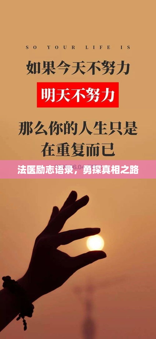 法医励志语录，勇探真相之路