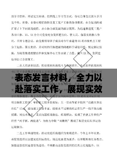 表态发言材料，全力以赴落实工作，展现实效与担当