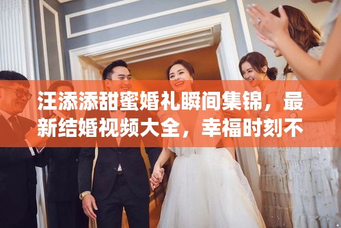 汪添添甜蜜婚礼瞬间集锦，最新结婚视频大全，幸福时刻不容错过