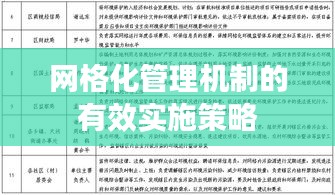 网格化管理机制的有效实施策略