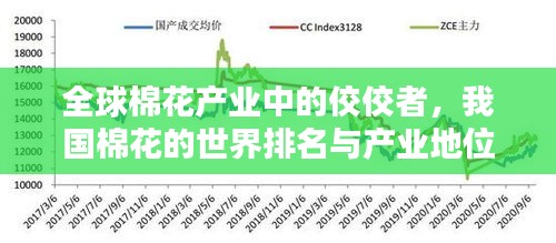 全球棉花产业中的佼佼者，我国棉花的世界排名与产业地位