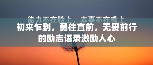 初来乍到，勇往直前，无畏前行的励志语录激励人心