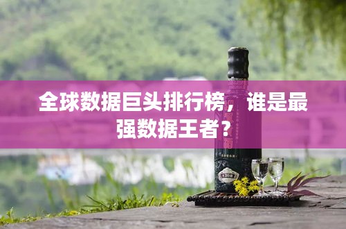 全球数据巨头排行榜，谁是最强数据王者？