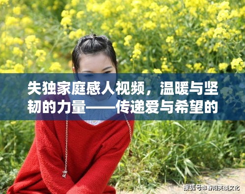 失独家庭感人视频，温暖与坚韧的力量——传递爱与希望的力量