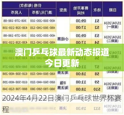 澳门乒乓球最新动态报道今日更新