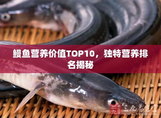 鳗鱼营养价值TOP10，独特营养排名揭秘