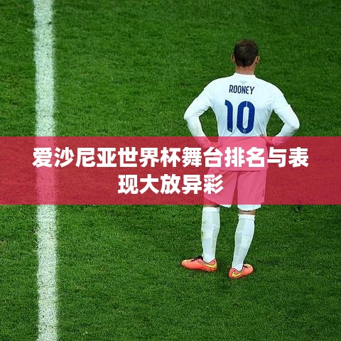 爱沙尼亚世界杯舞台排名与表现大放异彩