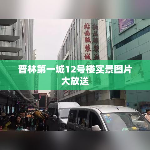 普林第一城12号楼实景图片大放送