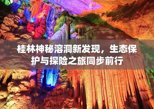 桂林神秘溶洞新发现，生态保护与探险之旅同步前行