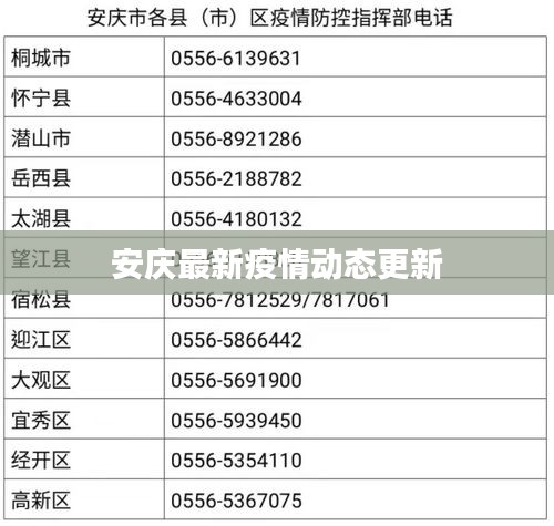 安庆最新疫情动态更新