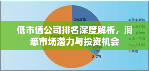 低市值公司排名深度解析，洞悉市场潜力与投资机会