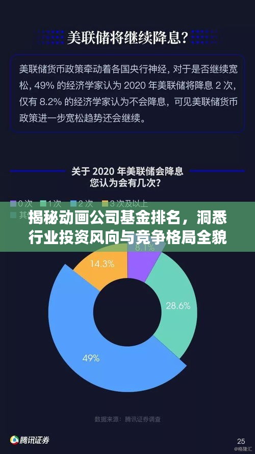 揭秘动画公司基金排名，洞悉行业投资风向与竞争格局全貌