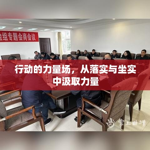 行动的力量场，从落实与坐实中汲取力量