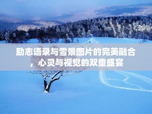 励志语录与雪景图片的完美融合，心灵与视觉的双重盛宴