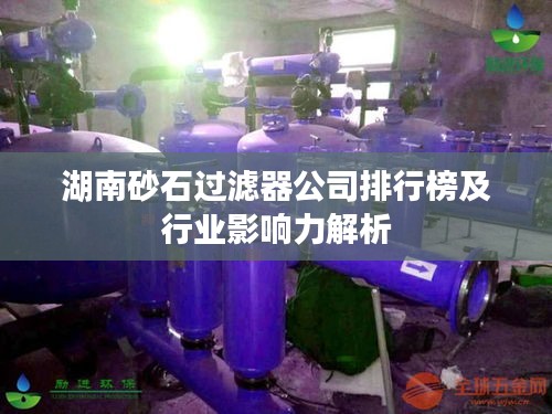 湖南砂石过滤器公司排行榜及行业影响力解析