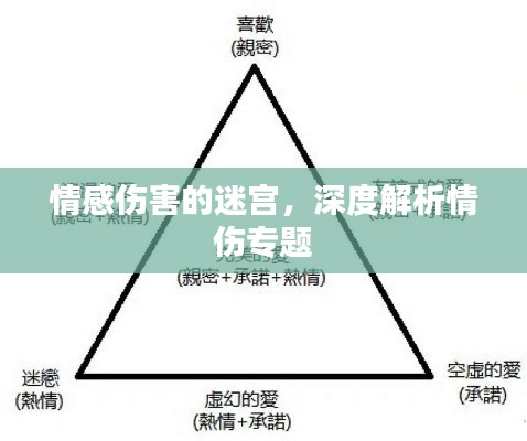 情感伤害的迷宫，深度解析情伤专题