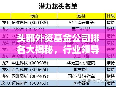 头部外资基金公司排名大揭秘，行业领导者影响力与业绩一览！