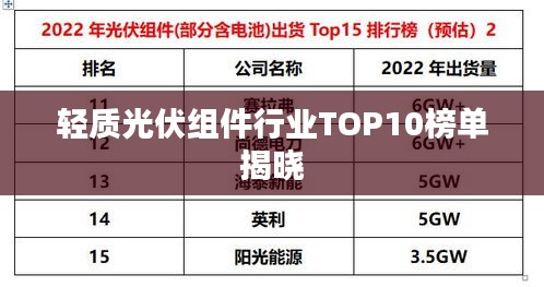 轻质光伏组件行业TOP10榜单揭晓