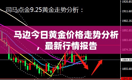 马边今日黄金价格走势分析，最新行情报告