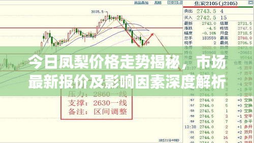 今日凤梨价格走势揭秘，市场最新报价及影响因素深度解析