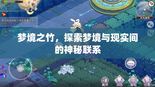 梦境之竹，探索梦境与现实间的神秘联系