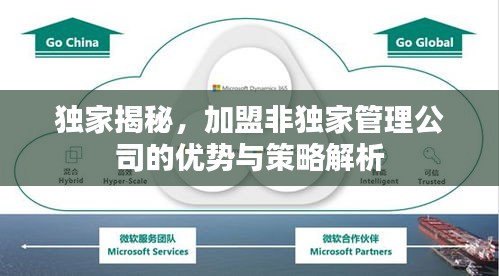 独家揭秘，加盟非独家管理公司的优势与策略解析