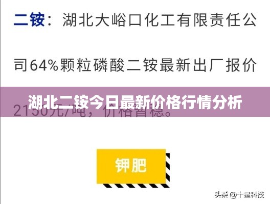 湖北二铵今日最新价格行情分析