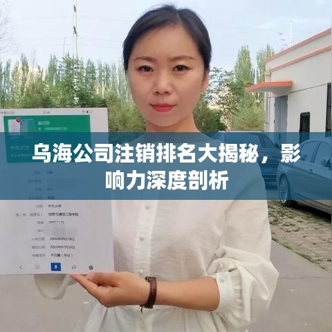 乌海公司注销排名大揭秘，影响力深度剖析