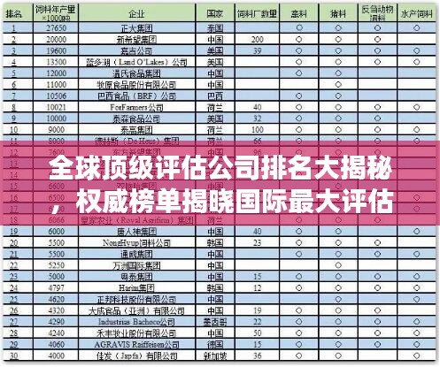 全球顶级评估公司排名大揭秘，权威榜单揭晓国际最大评估公司榜单！