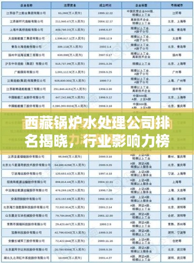 西藏锅炉水处理公司排名揭晓，行业影响力榜单及解析