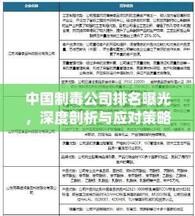 中国制毒公司排名曝光，深度剖析与应对策略
