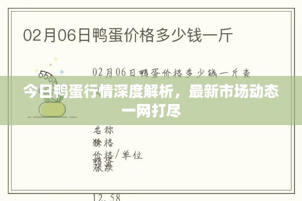 今日鸭蛋行情深度解析，最新市场动态一网打尽