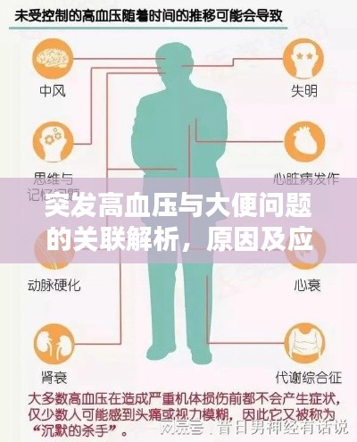 突发高血压与大便问题的关联解析，原因及应对之策